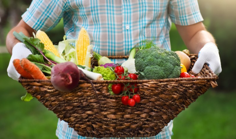 India’s BigBasket lands $150M to expand its online grocery service